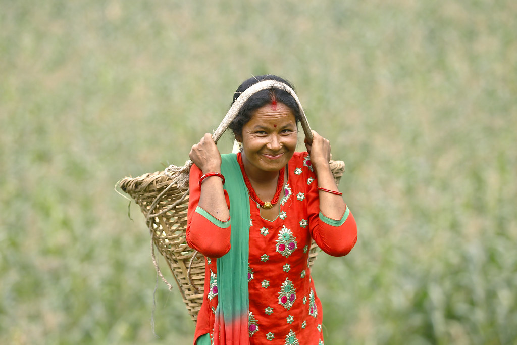 Selected Image