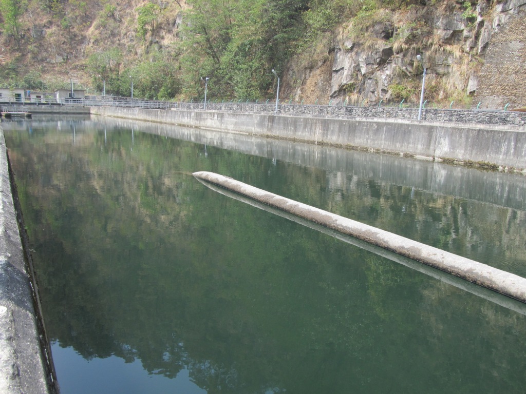 Selected Image