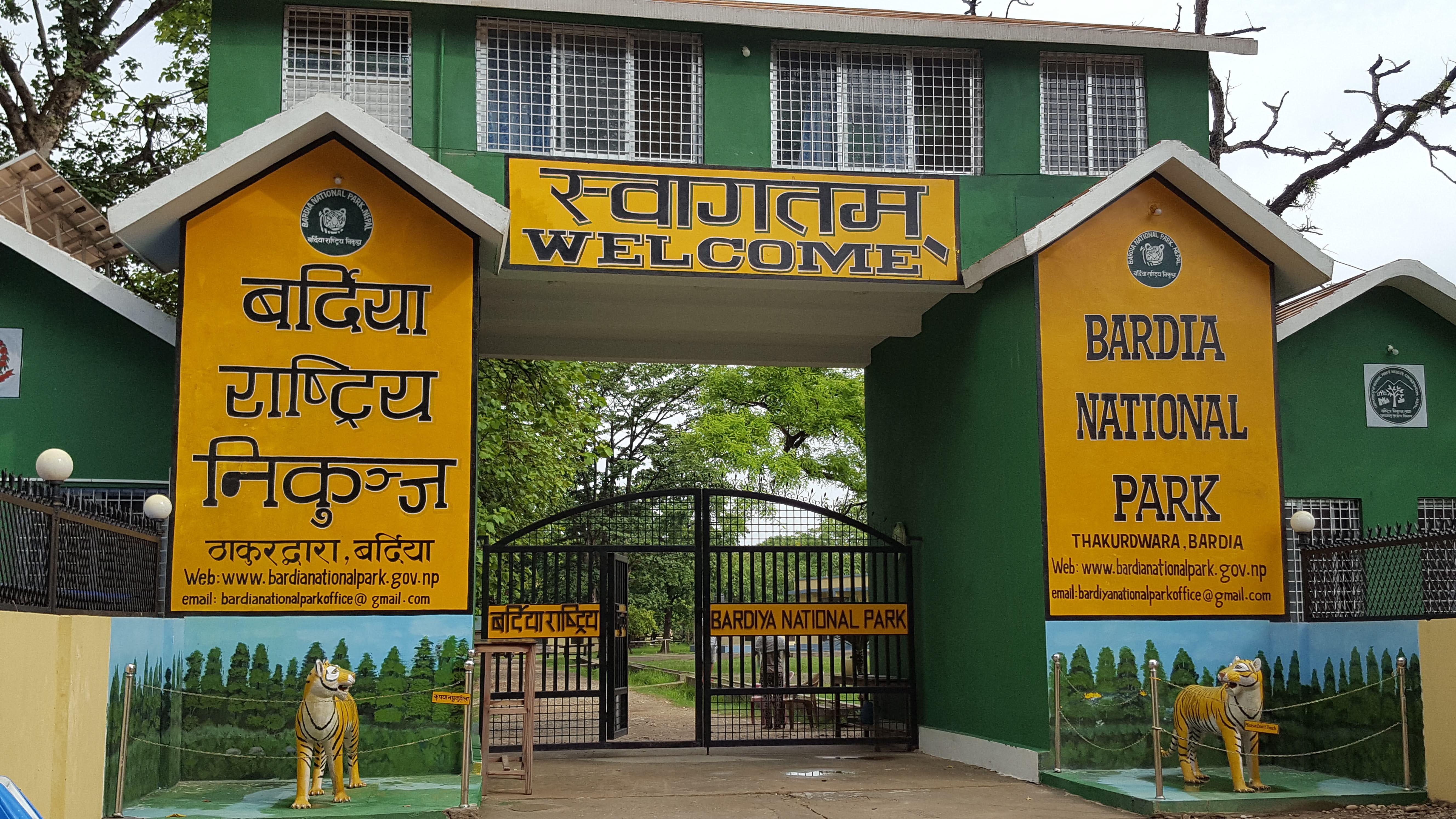 Selected Image