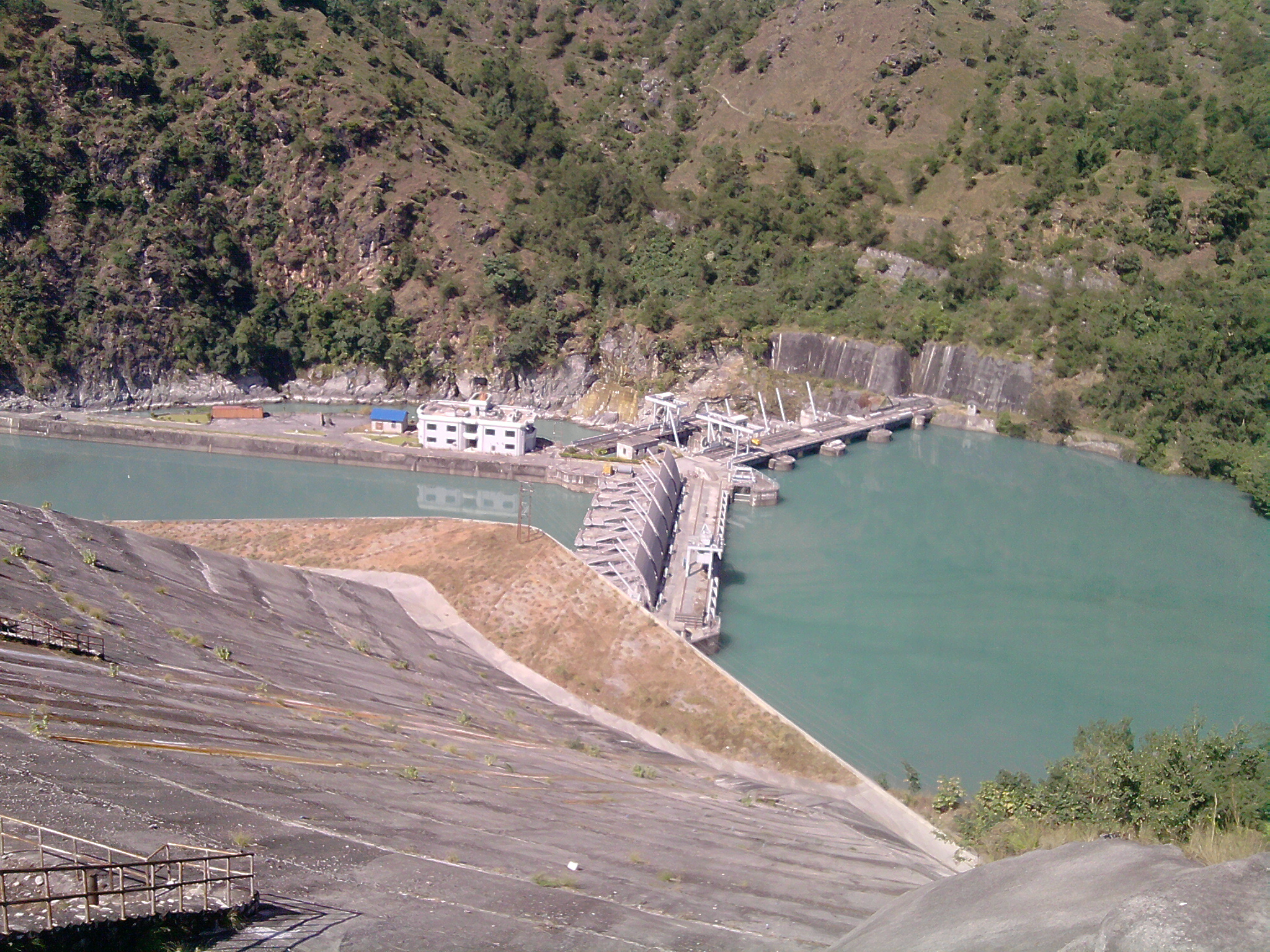 Selected Image